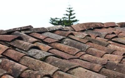 Les conséquences désastreuses de négliger la réparation de sa toiture : Pourquoi agir rapidement est essentiel ?